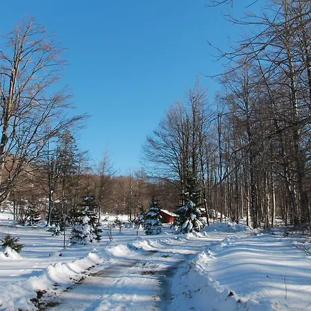 Edi Σπίτι διακοπών Delnice