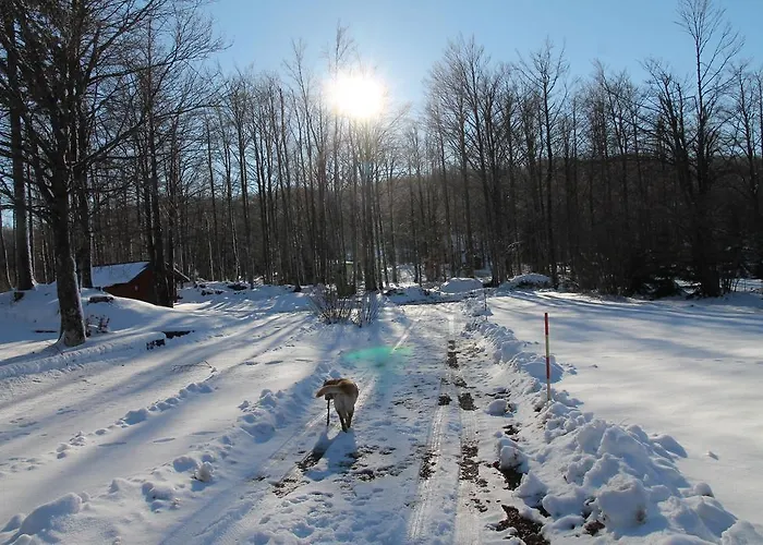 Σπίτι διακοπών Edi Delnice