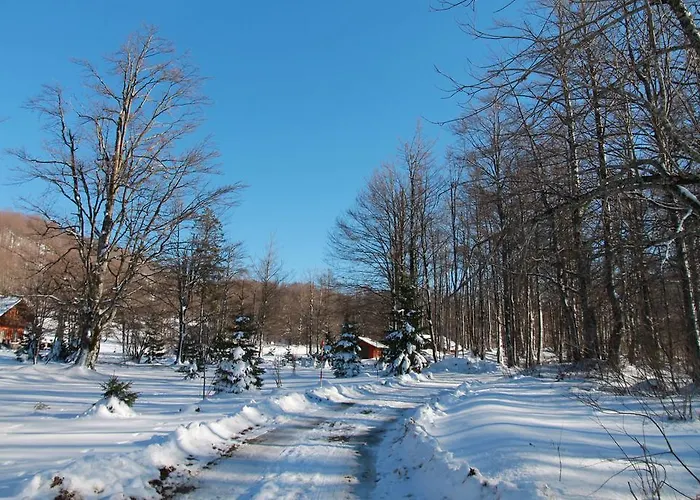 Edi Σπίτι διακοπών Delnice