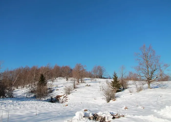 Σπίτι διακοπών Edi Delnice