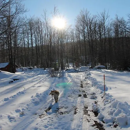 Vikendica Edi Delnice