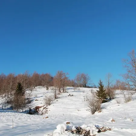 Vikendica Edi Delnice