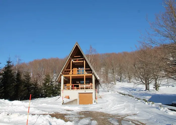 Edi * Делнице